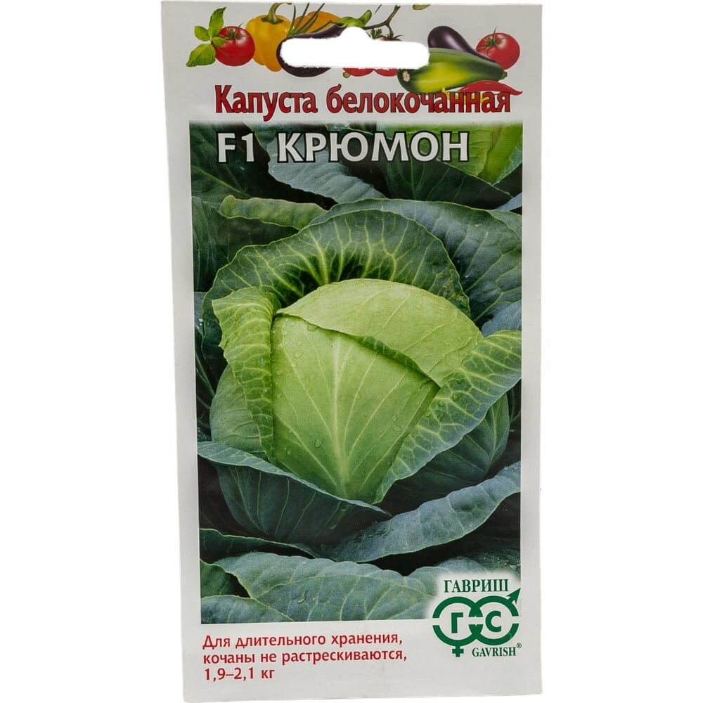 Семена гавриш 1071856485