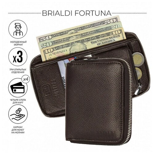 Мужское кожаное портмоне в MINI-формате BRIALDI Fortuna BR48529AQ relief brown