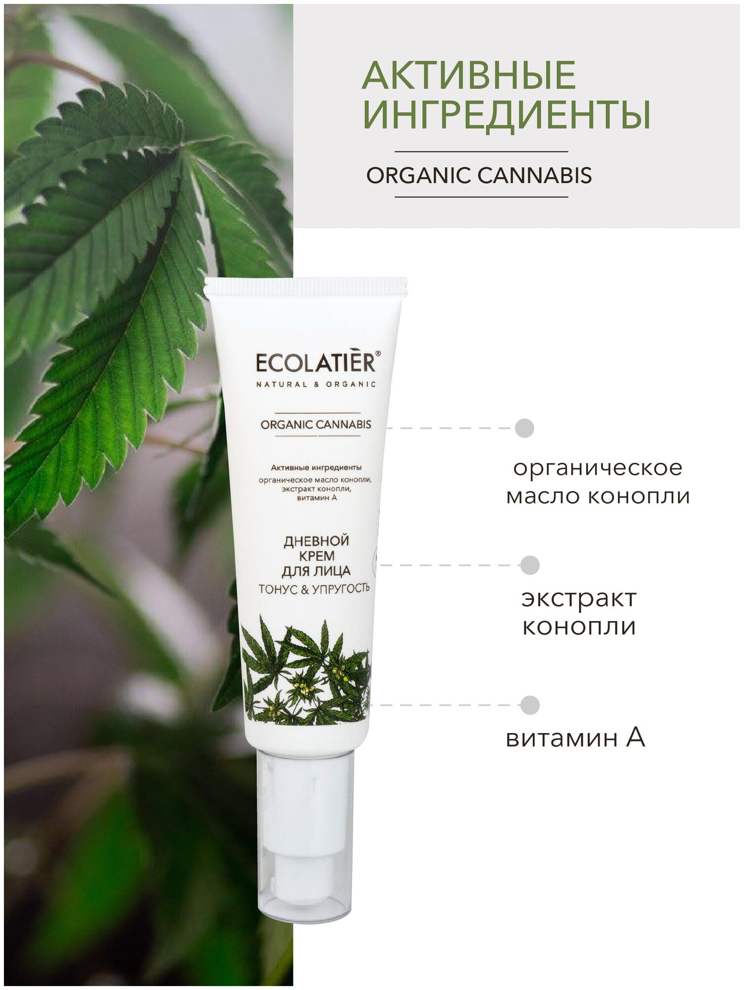 Крем для лица ECOLATIER Organic Cannabis, дневной, 50мл EСОLATIER - фото №6