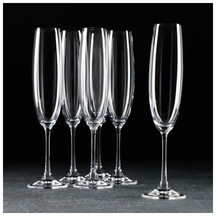 Набор бокалов для шампанского 250 мл Milvus, 6 шт 6938557