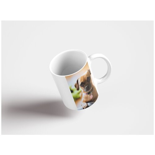 фото Кружка "велосипеды, виды спорта, городские велосипеды 320 мл. белая lotsprints