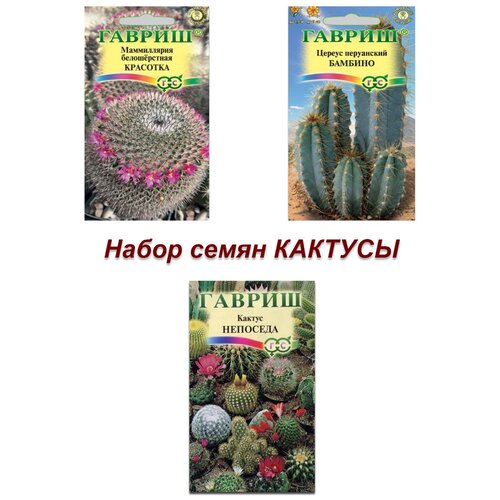 Набор семян, семена комнатных цветов, кактусы семена набор семян комнатных цветов эвкалипт