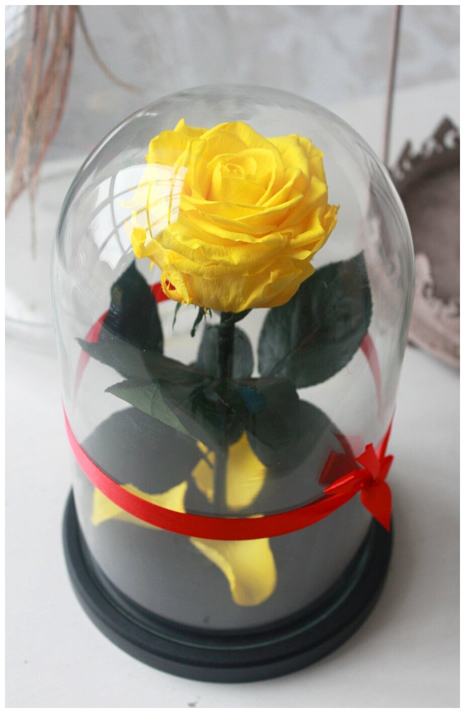 Живая Роза в колбе Therosedome Premium 7-8 см стабилизированная, цветок в колбе, вечная роза, подарок, декор для интерьера, цвет: желтый