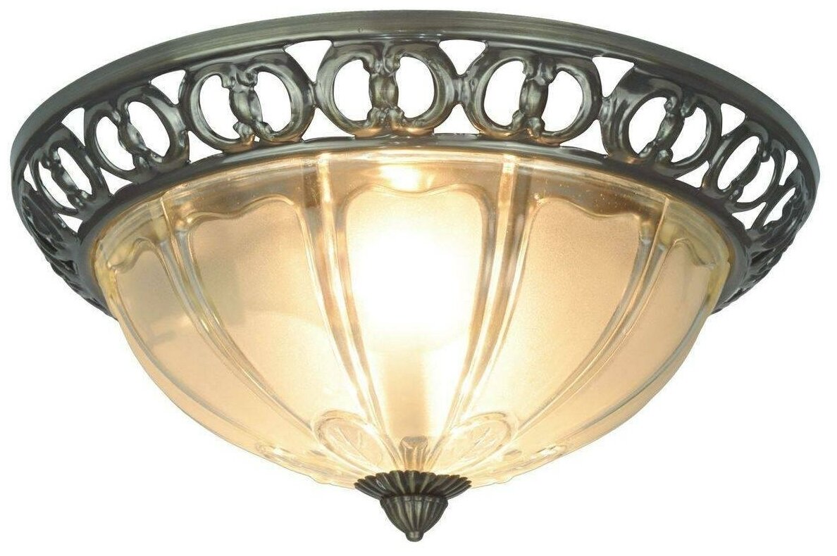 Потолочный светильник Arte Lamp 16 A1306PL-2AB