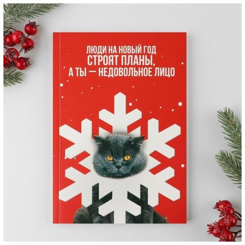 Ежедневник в тонкой обложке А5, 80 л Недовольное лицо ежедневник в тонкой обложке а5 80 л недовольное лицо