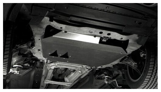 Защита двигателя — фото 1