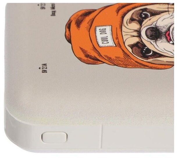 882144 Внешний аккумулятор Ritmix Power Bank RPB-10007 10000mAh Bulldog