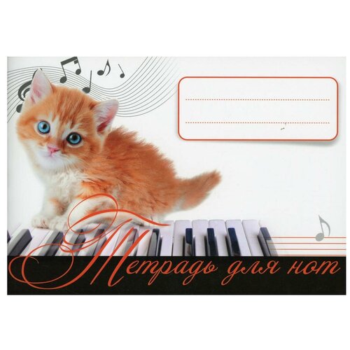 тетрадь для нот котенок музыкант Тетрадь для нот. (Рыжий котенок ).