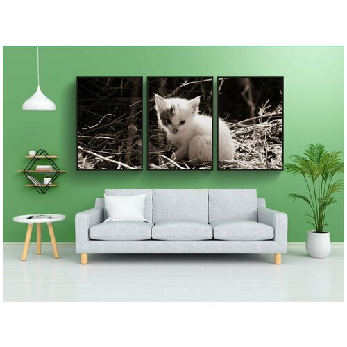 фото Набор модулных постеров для интерьера "кот, кошка ребенок, котенок" 60x90 см. в тубусе, без рамки lotsprints