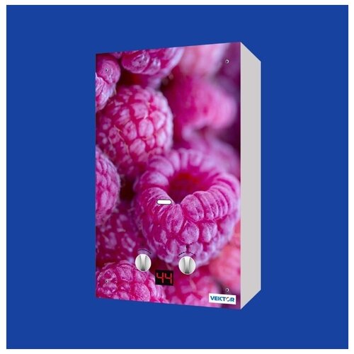 Газовая колонка VEKTOR 10 Малина 988000₽