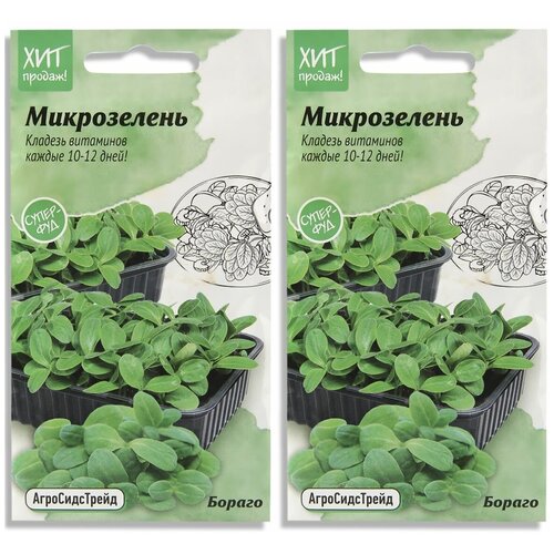 Набор семян Микрозелень Бораго для проращивания АСТ - 2 уп. набор семян микрозелень кольраби для проращивания аст 2 уп