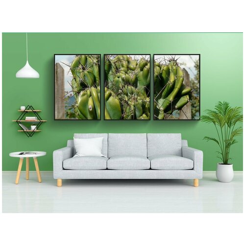 фото Набор модулных постеров для интерьера "рок кактус, cereus peruvianus monstrosus, цереус" 60x90 см. в тубусе, без рамки lotsprints