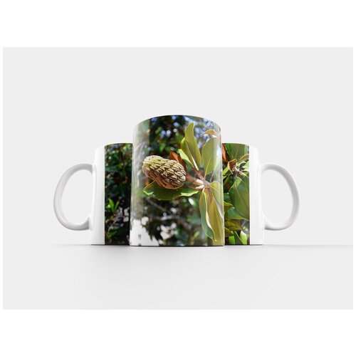 фото Кружка "магнолия, плод магнолии, зеленый" 320 мл lotsprints