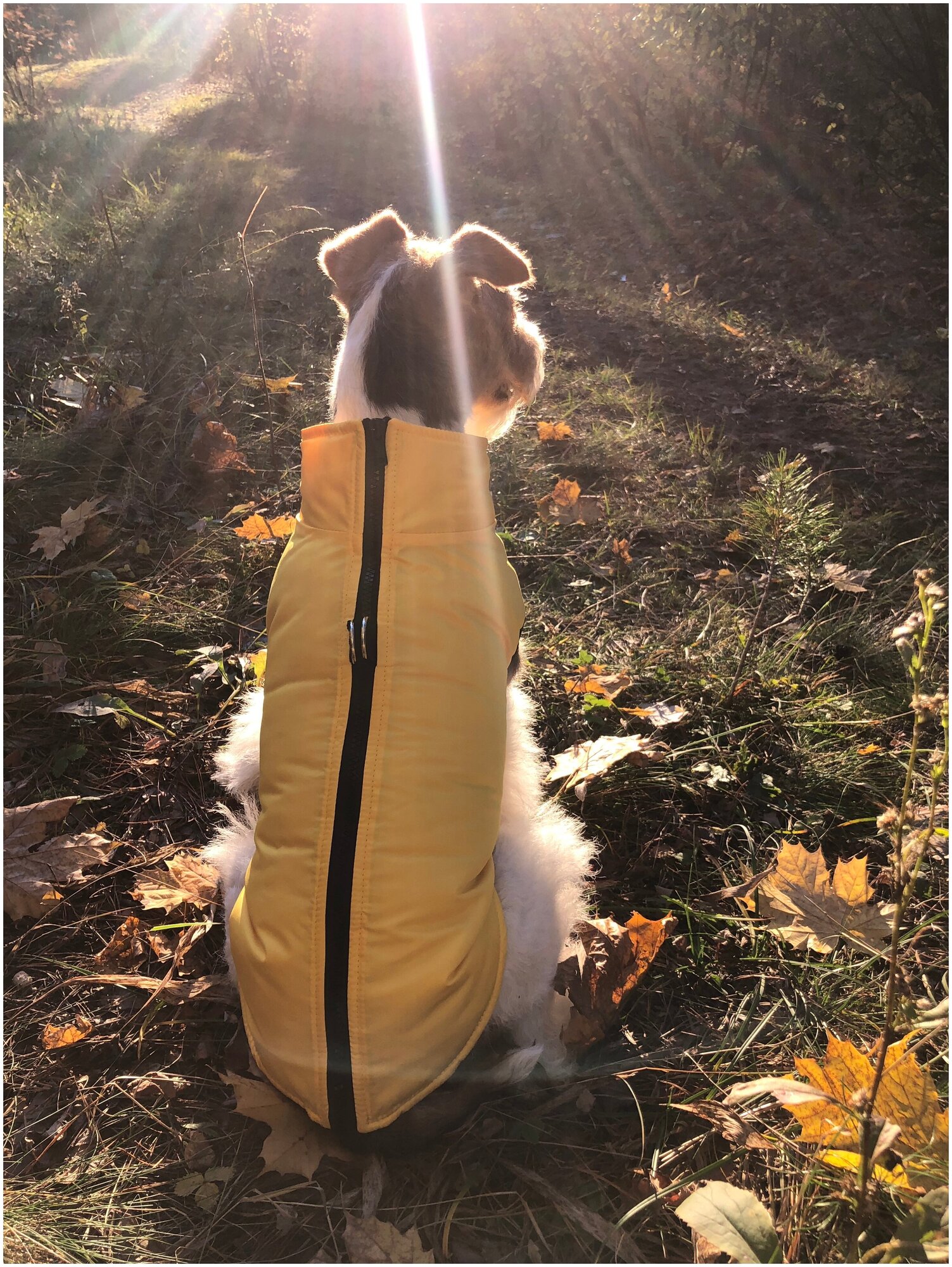 Жилет для собак утепленный на синтепоне и молнии, желтый, размер XXXL, спинка 53см - фотография № 4