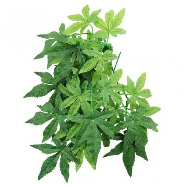 TP003-20 Растение для террариума Амбутилон 50см