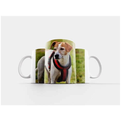 фото Кружка "собака, белый, животное" 320 мл lotsprints