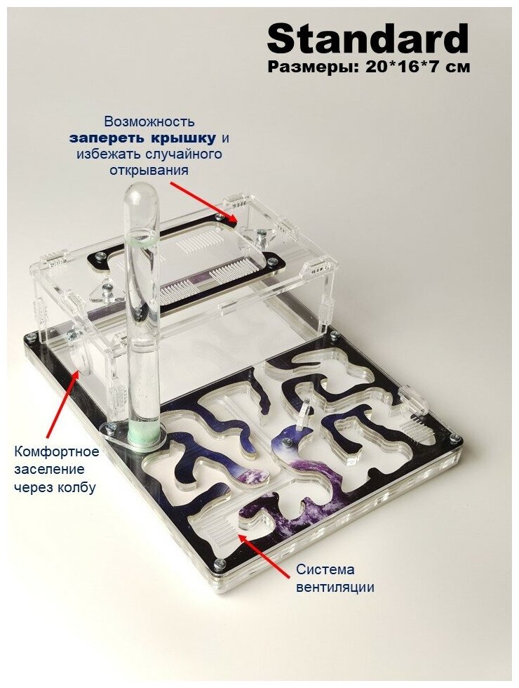 Средняя муравьиная ферма 20х16см "Орех" с запирающейся крышкой Базовый комплект - фотография № 2