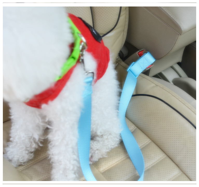 ремень для собак в автомобиль, красный, 70х3 см - фотография № 15