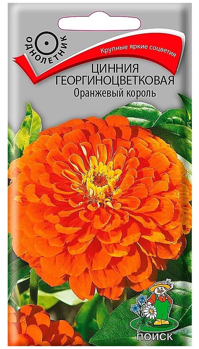 Семена ПОИСК Цинния георгиноцветковая Оранжевый король 0.4 г