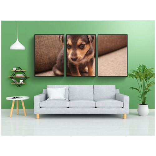 фото Набор модулных постеров для интерьера "собака, коричневый, щенок" 60x90 см. в тубусе, без рамки lotsprints