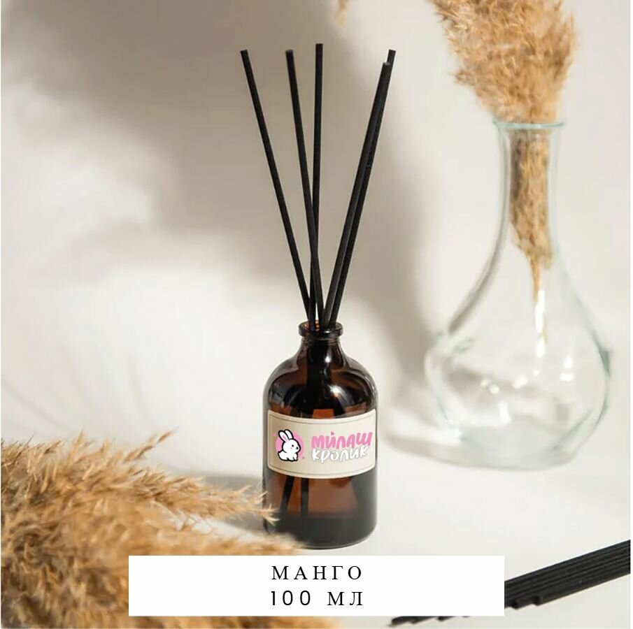 Премиум Диффузор Манго (100 мл)