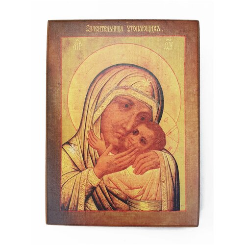 Икона Богородица. Спасительница утопающих, размер иконы - 20х25