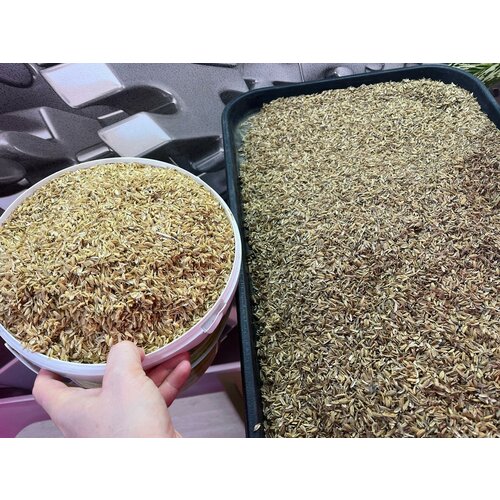 Рисовая шелуха для растений 4 литров