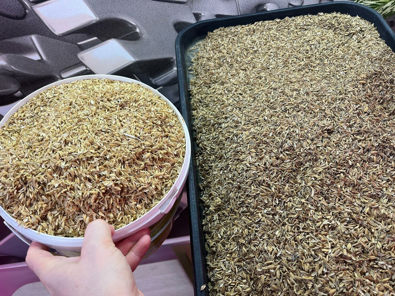 Рисовая шелуха для растений 8 литров