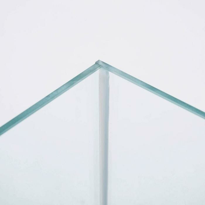 Пижон Прямоугольный Акваскейп прозрачный шов , 60х30х30 см, без ребер жесткости, 54 л - фотография № 4