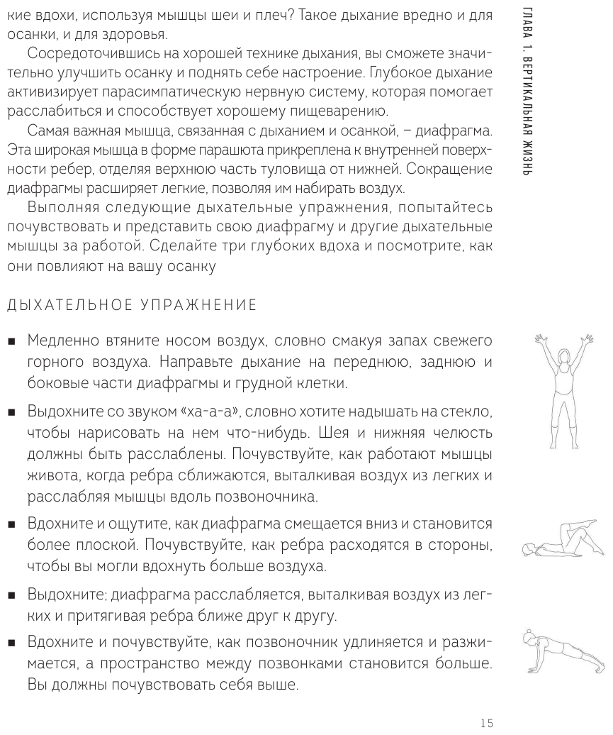 Моделирование здорового тела. Как восстановить осанку и избавиться от боли в спине - фото №13