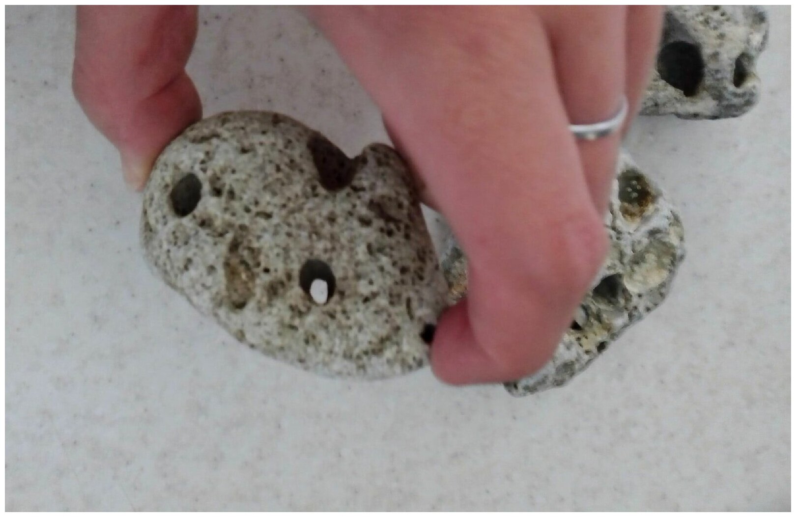 Камень для аквариума (с ямками) 3шт. 5-10см. - фотография № 6