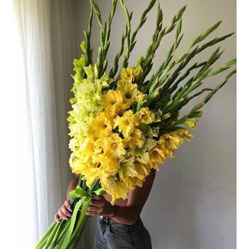 Букет Гладиолусы желтые, красивый букет цветов, шикарный, цветы премиум.