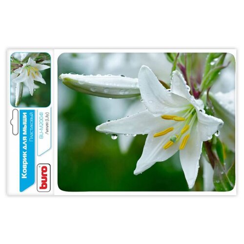 фото Коврик buro bu-m20041 291844