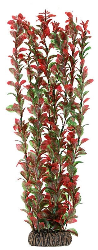 Растение "Людвигия" красная, 400мм, 1шт