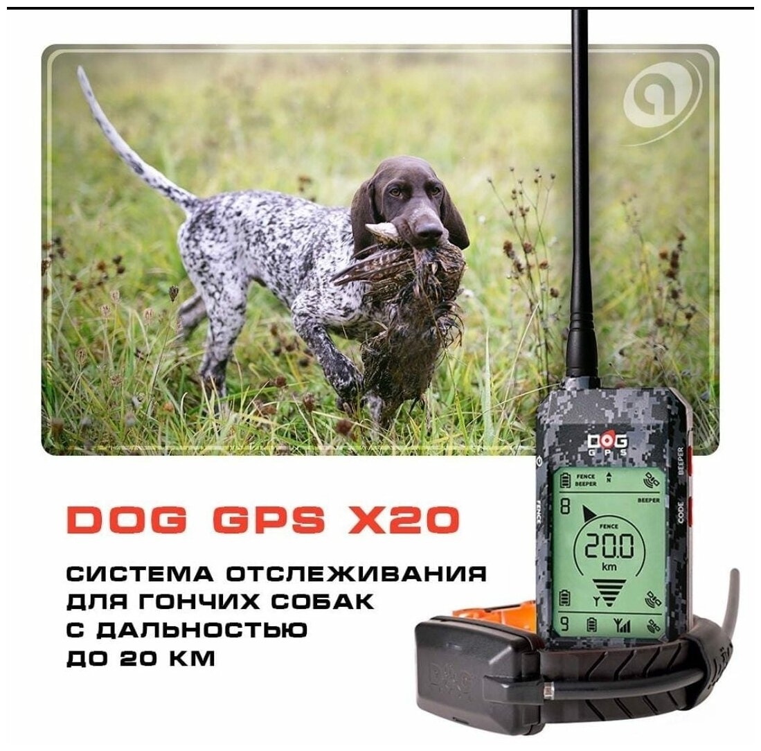 Ошейник с навигатором Dog GPS X20 для поиска охотничьих собак с дальностью до 20 км - фотография № 1