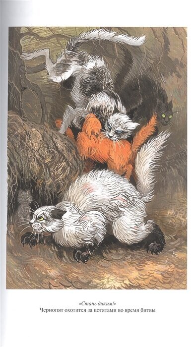 Книга Коты-воители. Стань диким! Огонь и лед - фото №3