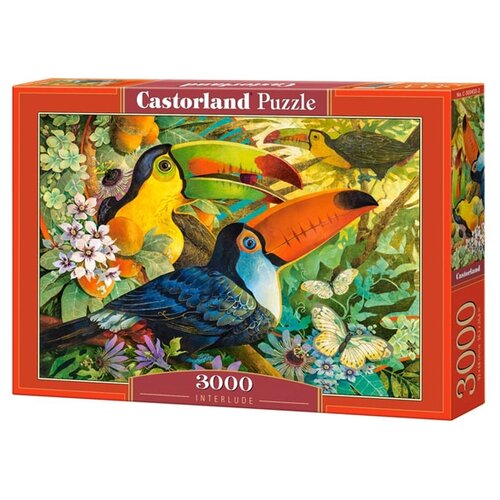 Пазл Castorland Interlude (C-300433), 3000 дет., разноцветный пазл castorland tulips and other flowers c 300488 3000 дет