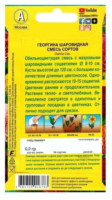 Георгина Шаровидная, смесь сортов 0,2г. (Аэлита)