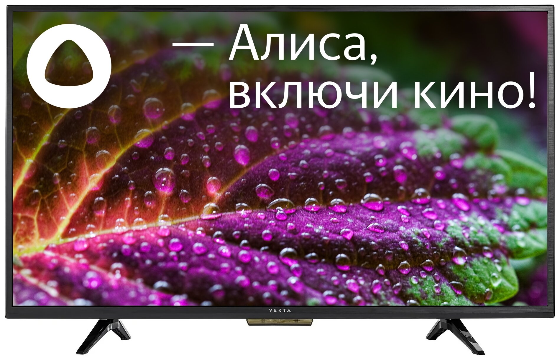 32" Телевизор VEKTA LD-32SR4815BS LED, HDR (2021) на платформе Яндекс.ТВ, черный