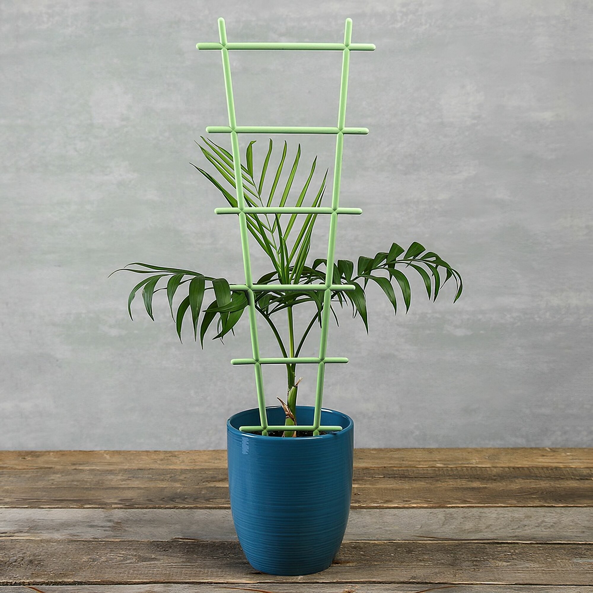 Поддержка-опора "Лесенка", 18.5x56 см, 5 шт - для поддержки растений. Можно использовать как для комнатных цветов, так и в саду, в огороде и на даче. - фотография № 5