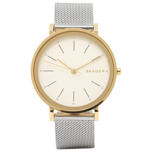 Наручные часы SKAGEN Mesh SKW2508, белый