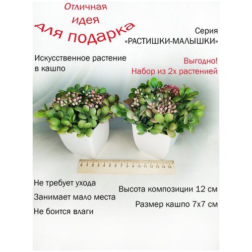 Искусственные растения в кашпо. Декоративные растения для интерьера. Искусственное растение в горшке - 2 шт.