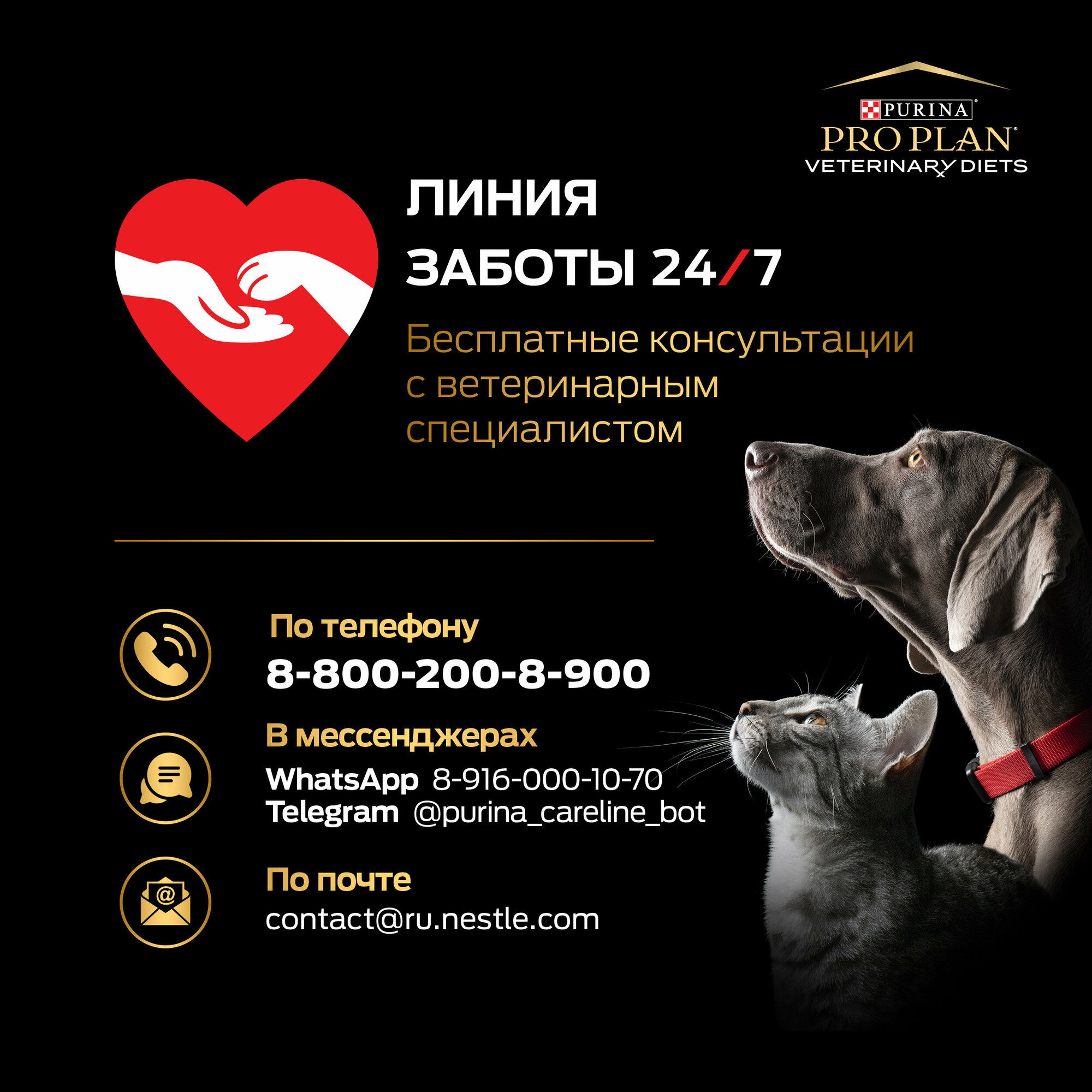 Purina Pro Plan Veterinary Diets UR Urinary Ocean Fish / Сухой корм Пурина Про План Ветеринарная диета для взрослых кошек при болезнях нижних отделов мочевыводящих путей с рыбой - фото №14