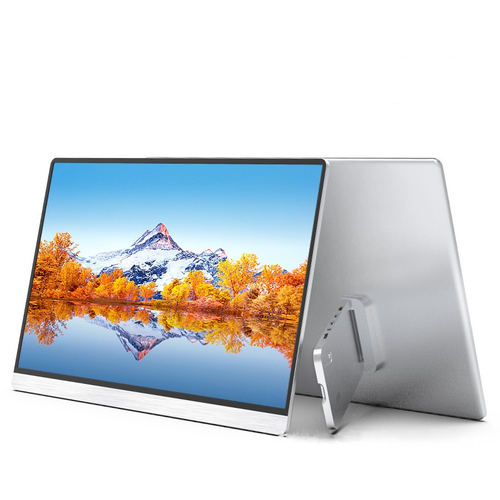 Портативный монитор ASM-161FCJ 161 1920х1080 IPS 1748000₽