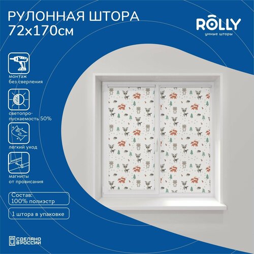 Шторы рулонные Rolly Premium принт 