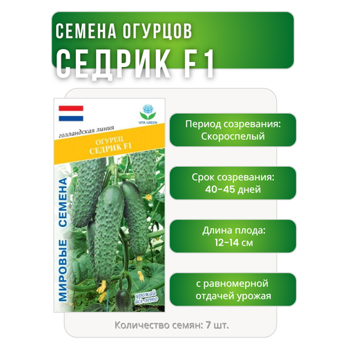 Огурец Седрик, F1, 7 семян, VITA GREEN
