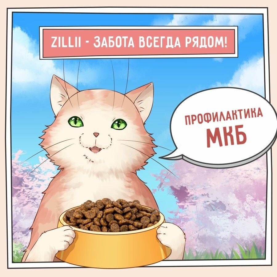 Корм сухой для кошек РН контроль 2 кг, гипоаллергенный ZILLII (Зиллии) Urinary Care Cat, Индейка — фото 1