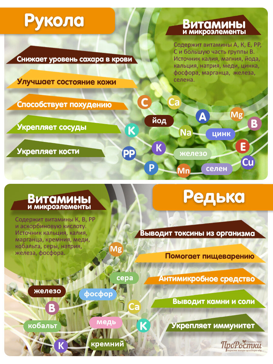 Набор «Семена для выращивания микрозелени 12 видов» — фото 1