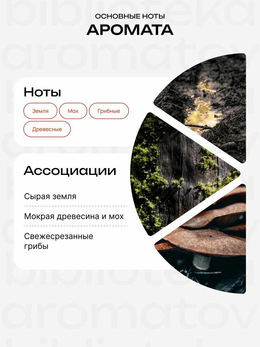 Demeter Fragrance Library (Деметер) Он зомби "Zombie for him" Туалетная вода 30 мл, библиотека ароматов — фото 1