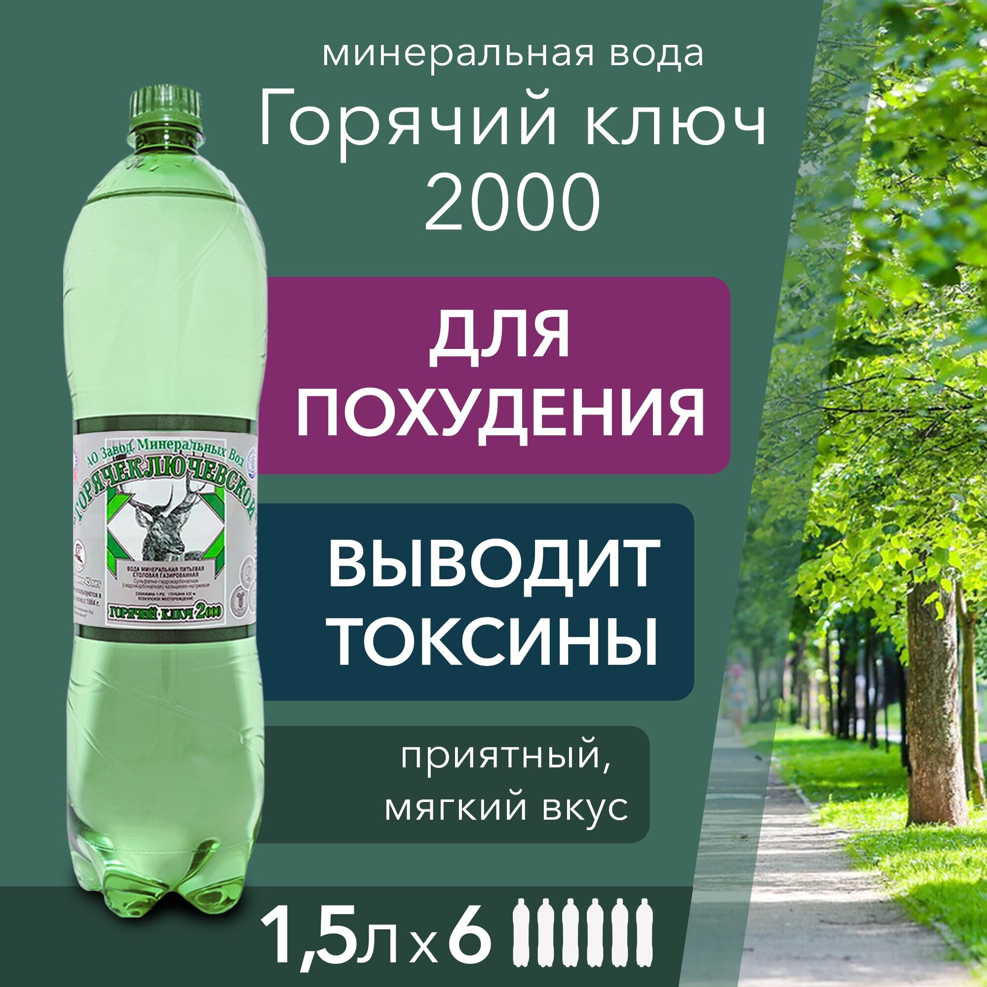 Вода минеральная Горячий Ключ 2000 газированная